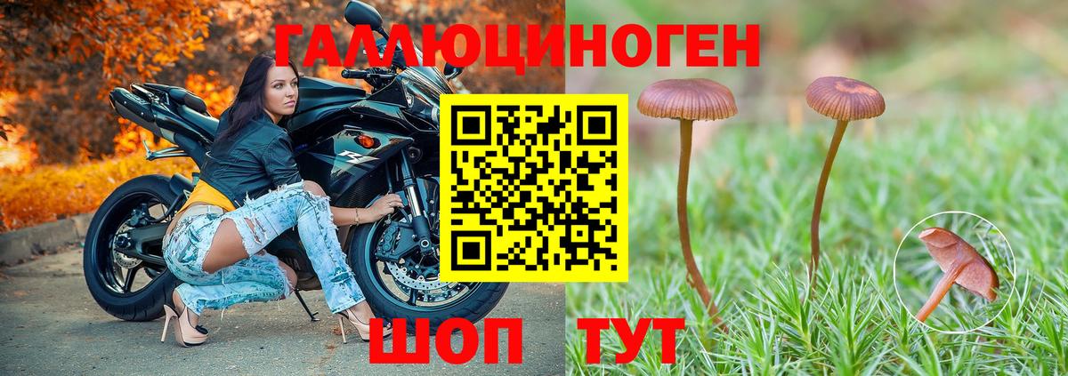 Псилоцибиновые грибы прущие грибы  Галлюциногенные грибы прущие грибы  Ярцево  Вход с VPN 