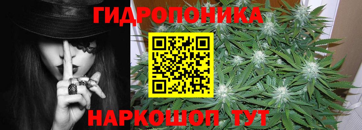 Марихуана индика  Вход с VPN  Ярцево  МАРИХУАНА сатива  Каннабис тримм  Марихуана OG Kush 